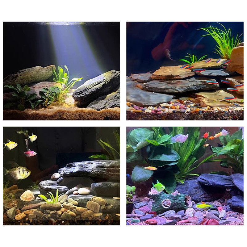 500/1000g Fish Tank Landscape  - Marine Fish Tank 评论和价格