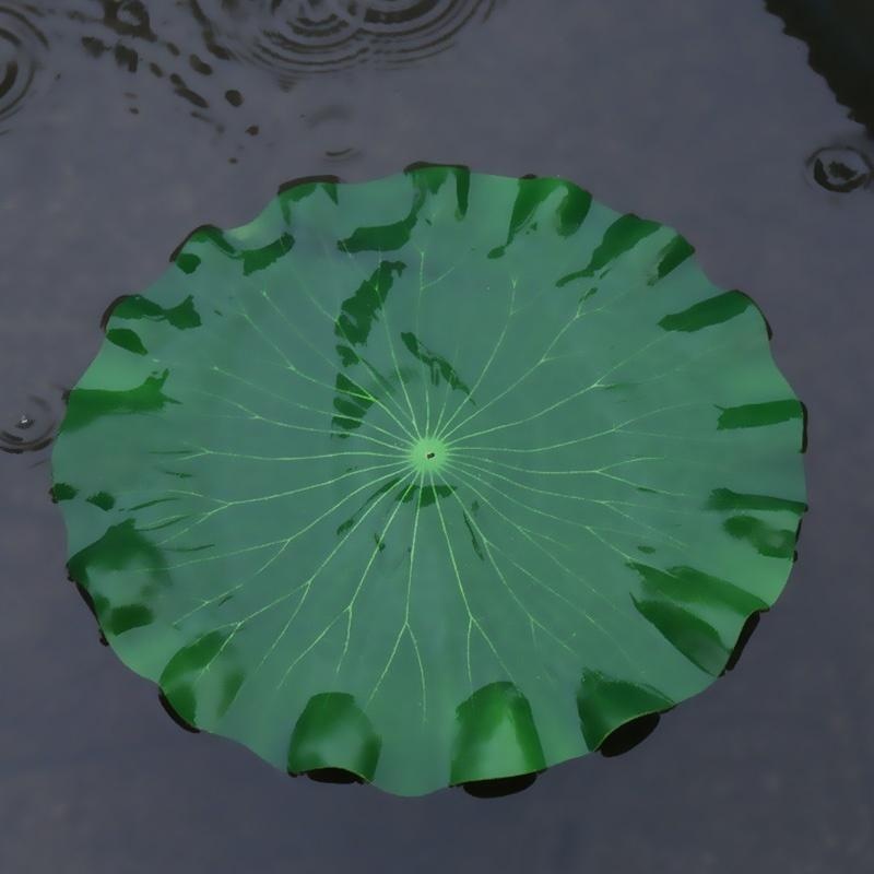 2026 Artificial Water Lily Lot - Ocean Aquarium 评论和价格