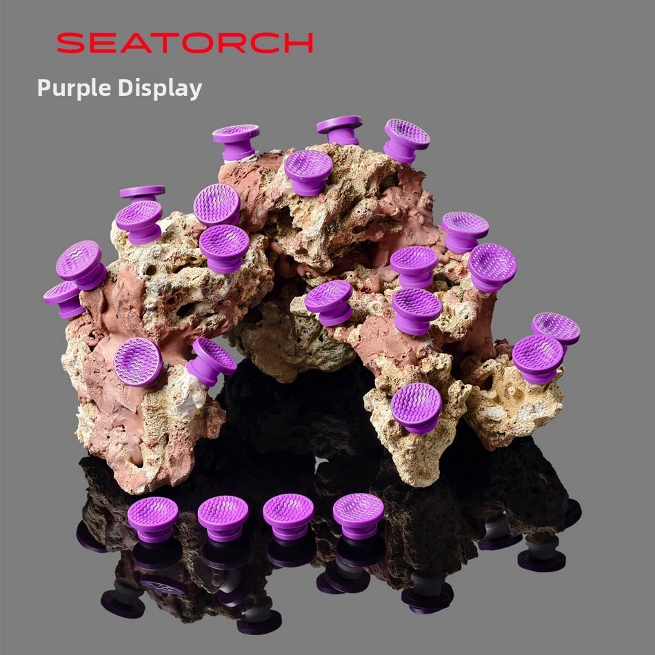 Seatorch Movable Coral Frag Ba - Saltwater Tank 评论和价格