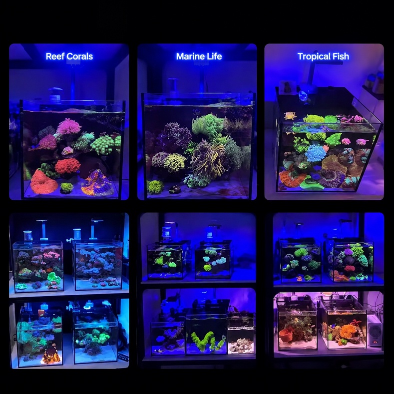 AS Coral Reef LED Aquarium Lig - Reef Lighting 评论和价格